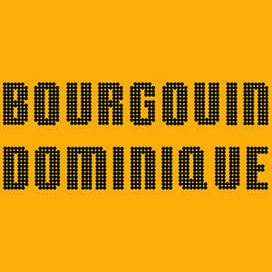 Dominique Bourgouin logo