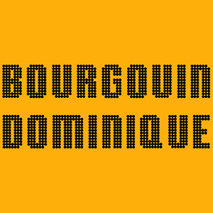 Logo Dominique Bourgouin
